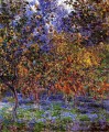 Unter dem Lemon Trees Claude Monet